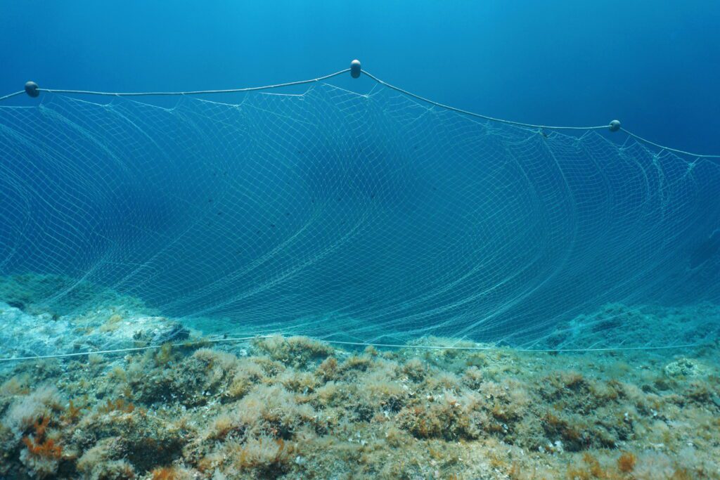 Smart fishing net reduces the impact on marine life - Springwise