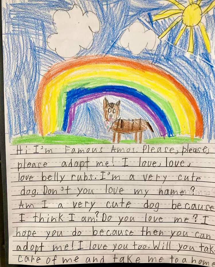 one of the letters written on behalf of shelter pets featuring a bright and cute drawing of a cat in front of a rainbow