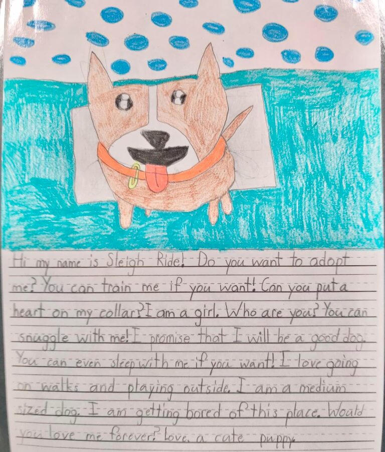 one of the letters written on behalf of shelter pets featuring a bright and cute drawing of a dog