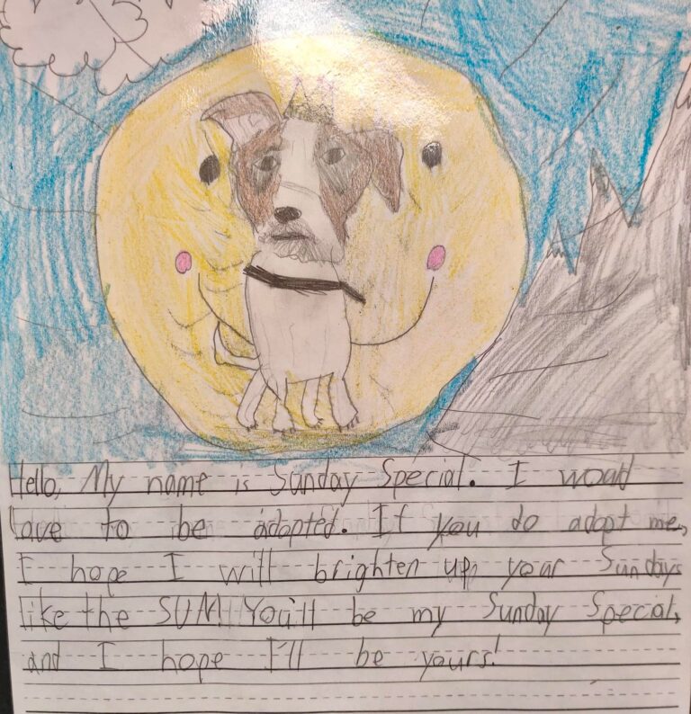one of the letters written on behalf of shelter pets featuring a bright and cute drawing of a dog