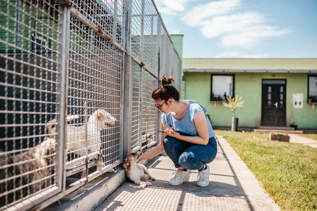 A woman kneels down to pet a cat lying outside an animal shelter cage with a happy looking dog inside