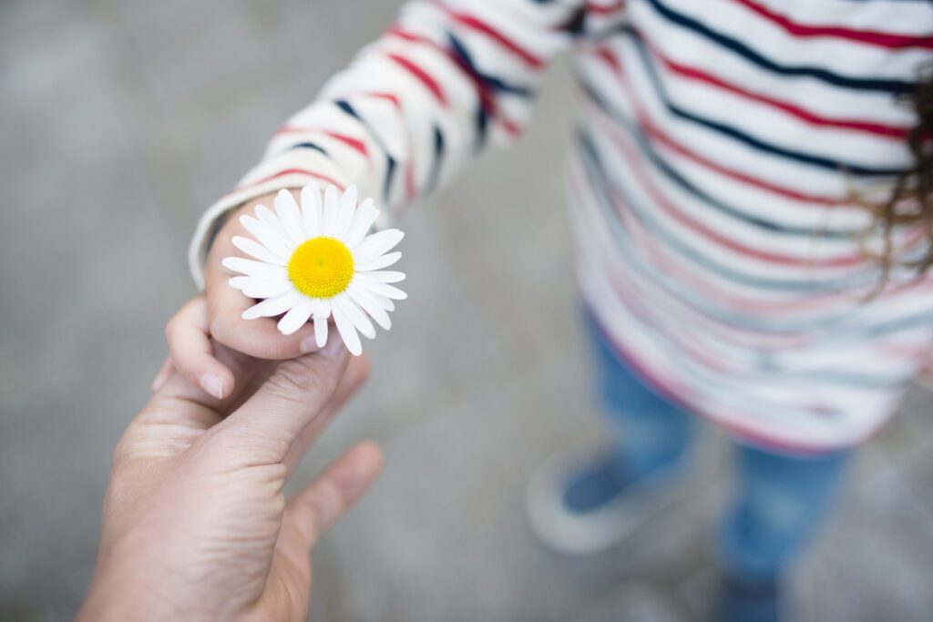 Parent's and child's hands exchanging a white flower