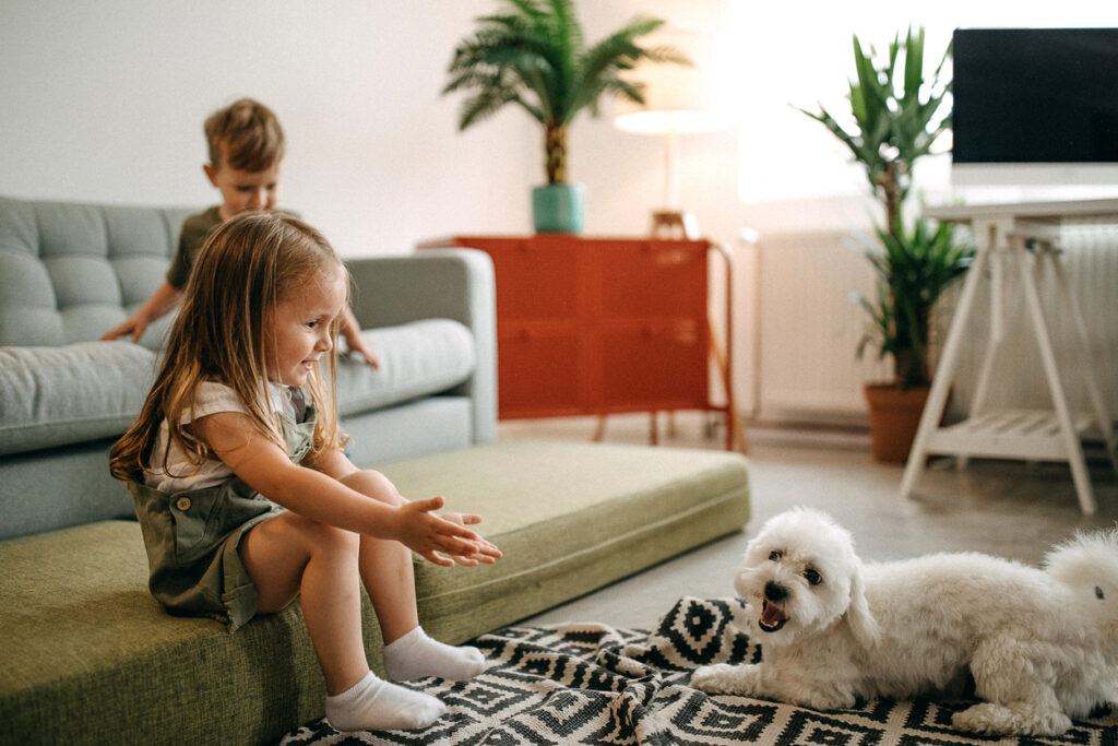 Kids jumping on sofa with dog, playing at home