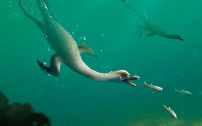 an artist's rendition of the world's first swimming dinosaur. A slender animal with a long neck and open mouth is shown diving underwater toward fish
