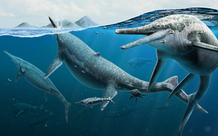 an illustration of live ichthyosaurs swimming underwater