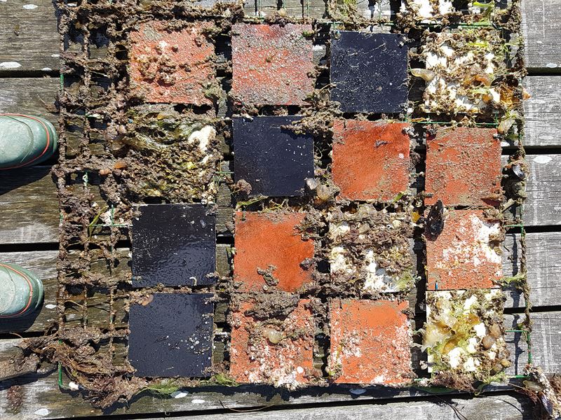 an image of eco-friednly anti-fouling paint for barnacles used on various tiles of different colors, on the ground with a pair of boots next to the tiles.