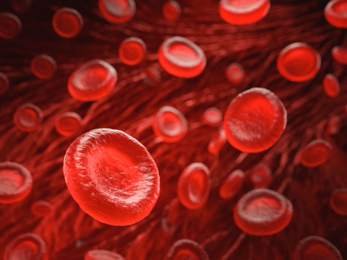 an image of red blood cells