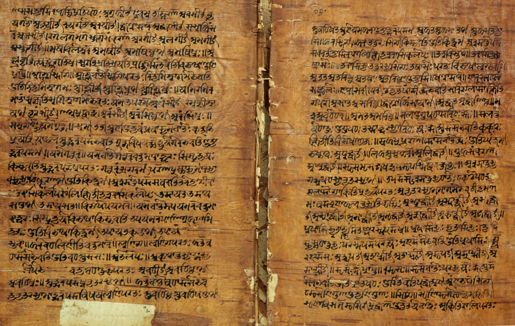 Birch bark manuscript from Kashmir of the Rupavatra, a grammatical textbook based on the Sanskrit grammar of Panini. It was compossed by Dharmakirti, a Buddhist monk from Ceylon. The manuscript was transcribed in 1663