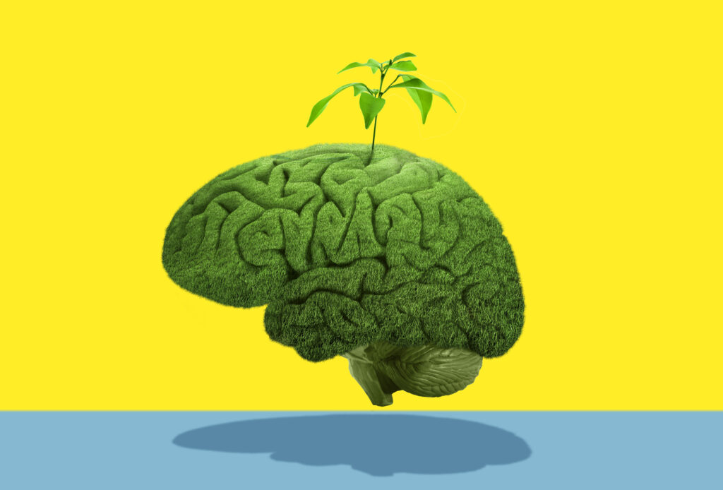 Human brain covered with green grass with sprout growing on colored background.