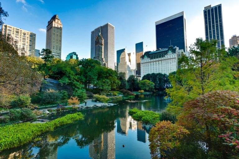 A scene of Manhattan in the distance and a lake surrounded by lush greenery in the forefront