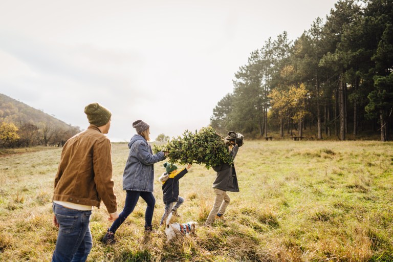 Photo of a family with two children and their dog, carrying the Christmas tree throughout the woods, after picking it out on a gloomy day; family getting ready for the upcoming holiday season.