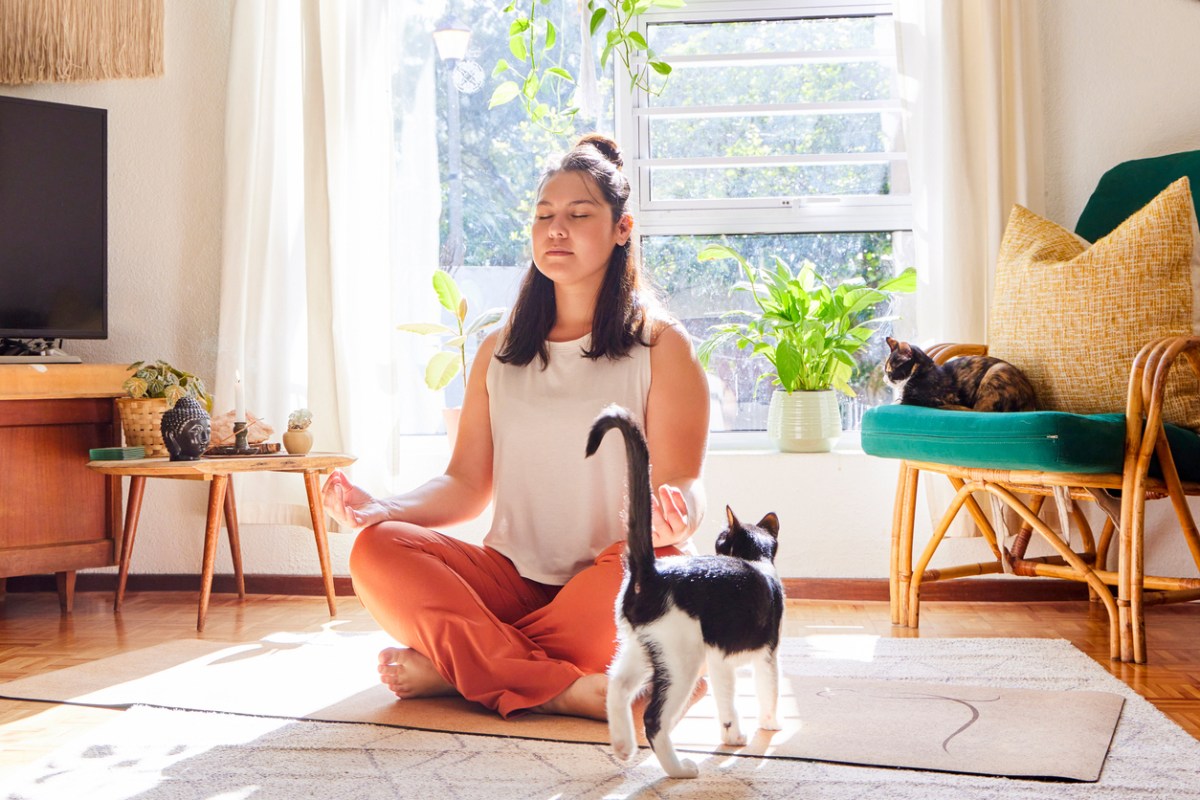 Full length shot of an attractive young woman sitting on a mat and meditating at home