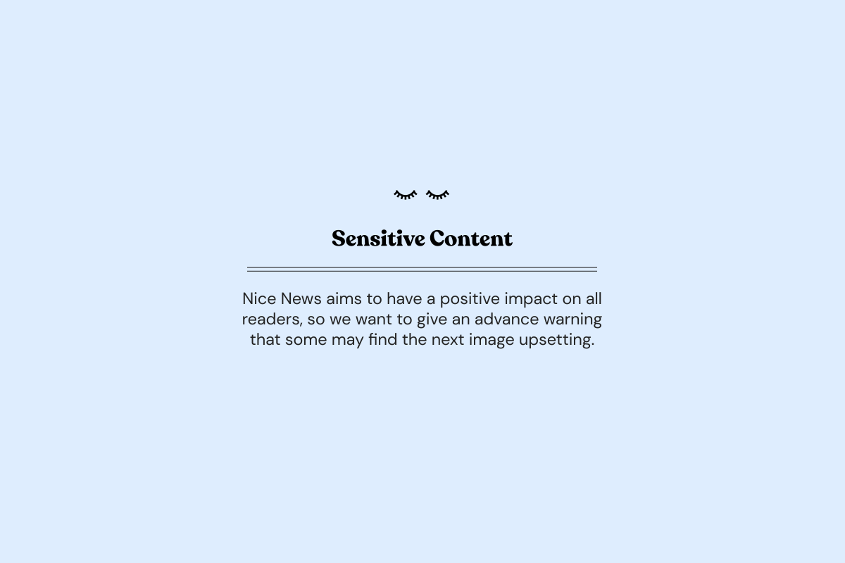NN_sensitive Content 3_2