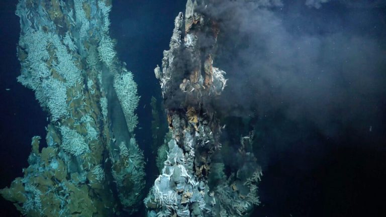 DAVID BUTTERFIELD/UNIVERSITY OF WASHINGTON AND NOAA/PACIFIC MARINE ENVIRONMENTAL LABORATORY