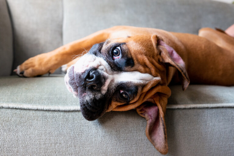 FOTOGRAFIXX/ ISTOCK