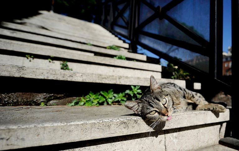 FILIPPO MONTEFORTE/AFP VIA GETTY IMAGES