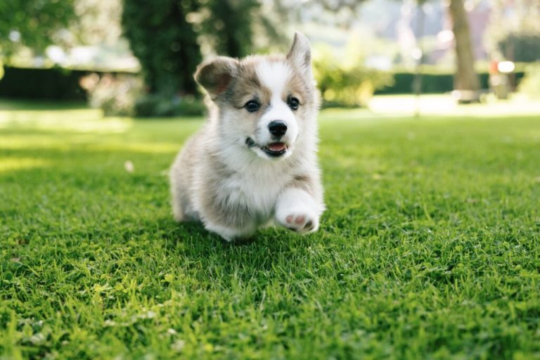 FOTOGRAFIXX/ ISTOCK