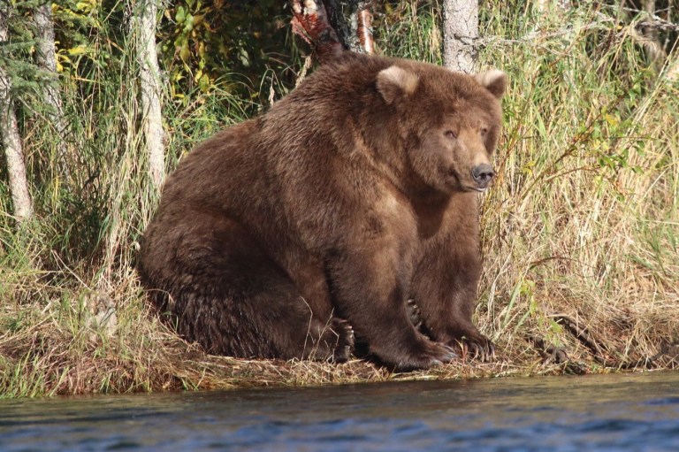 SWNS / US National Park Service