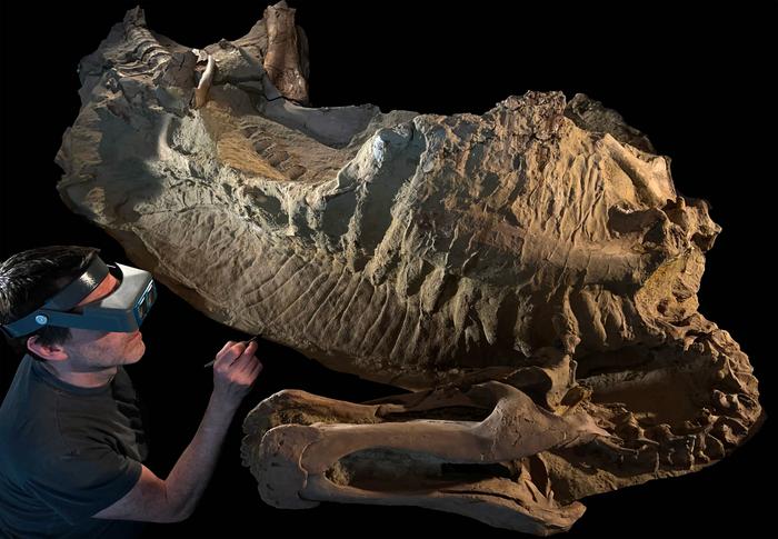 Courtesy of University of Chicago Fossil Lab