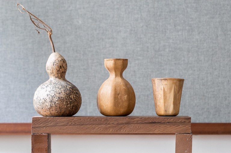 Taran Wilkhu/ The Gourd Project