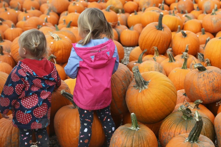 Creative Touch Imaging Ltd./NurPhoto via Getty Images