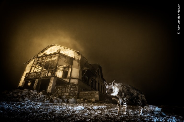 Wim van den Heever / Wildlife Photographer of the Year