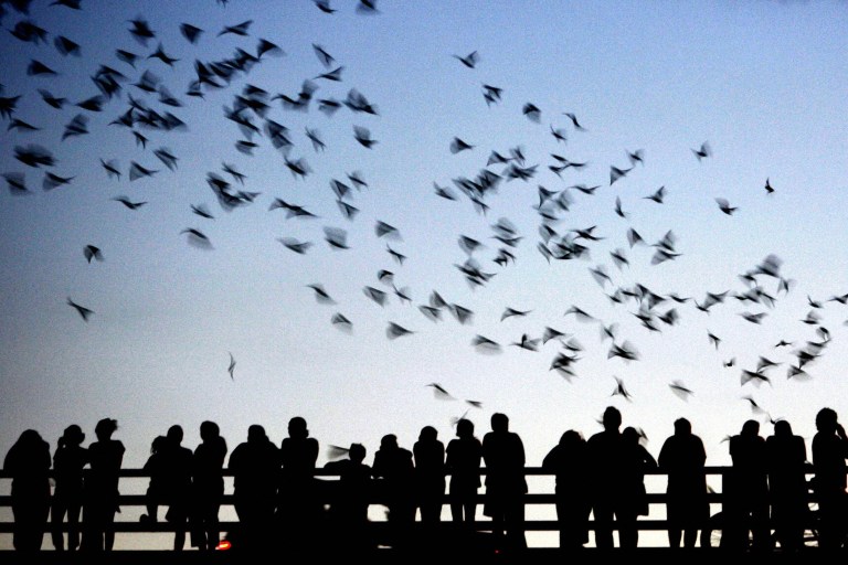JEFF HAYNES—AFP/Getty Images